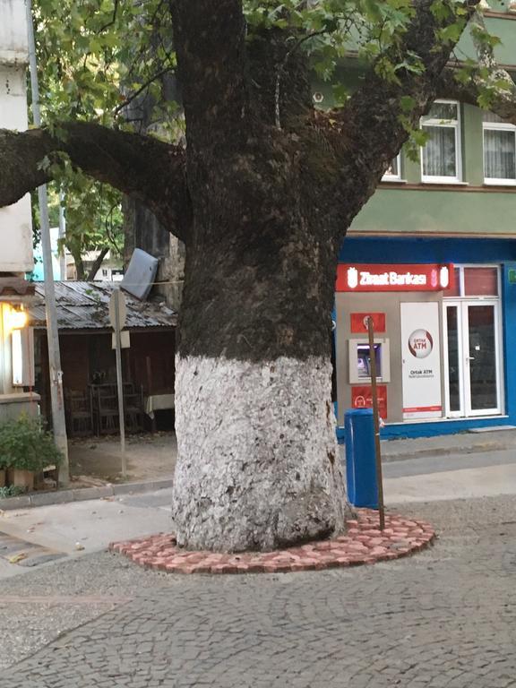 Tirilye Evi Otel Zeytinbagi Zewnętrze zdjęcie